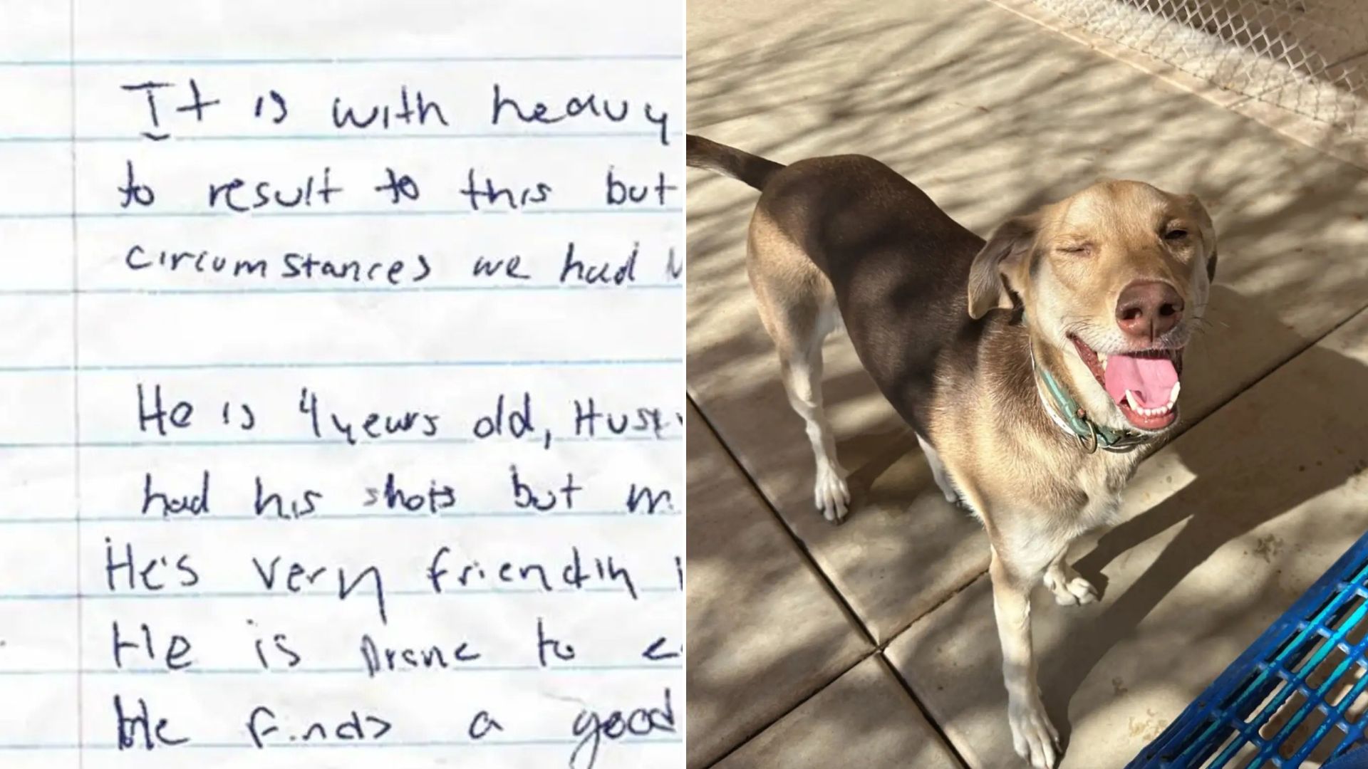 Arizona Rescuer Found Pup Tied In A Parking Lot Only To Be Heartbroken After Reading The Note Left By Owner