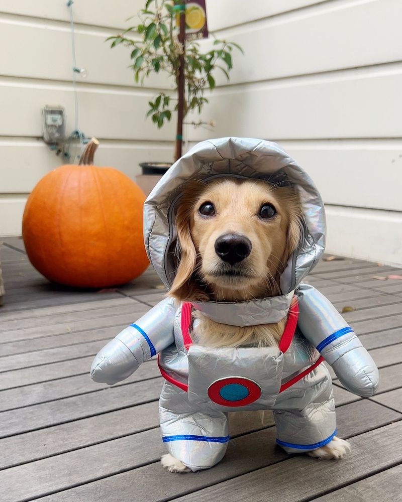 Astronaut Suit