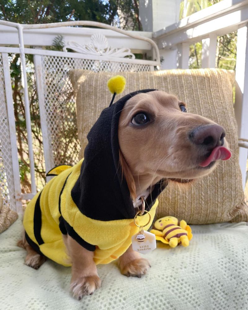 Bee Costume