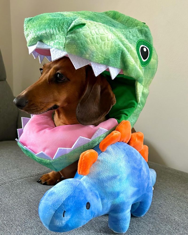 Dinosaur Costume