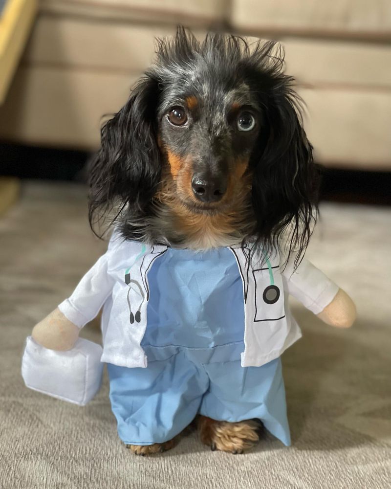 Doctor Costume