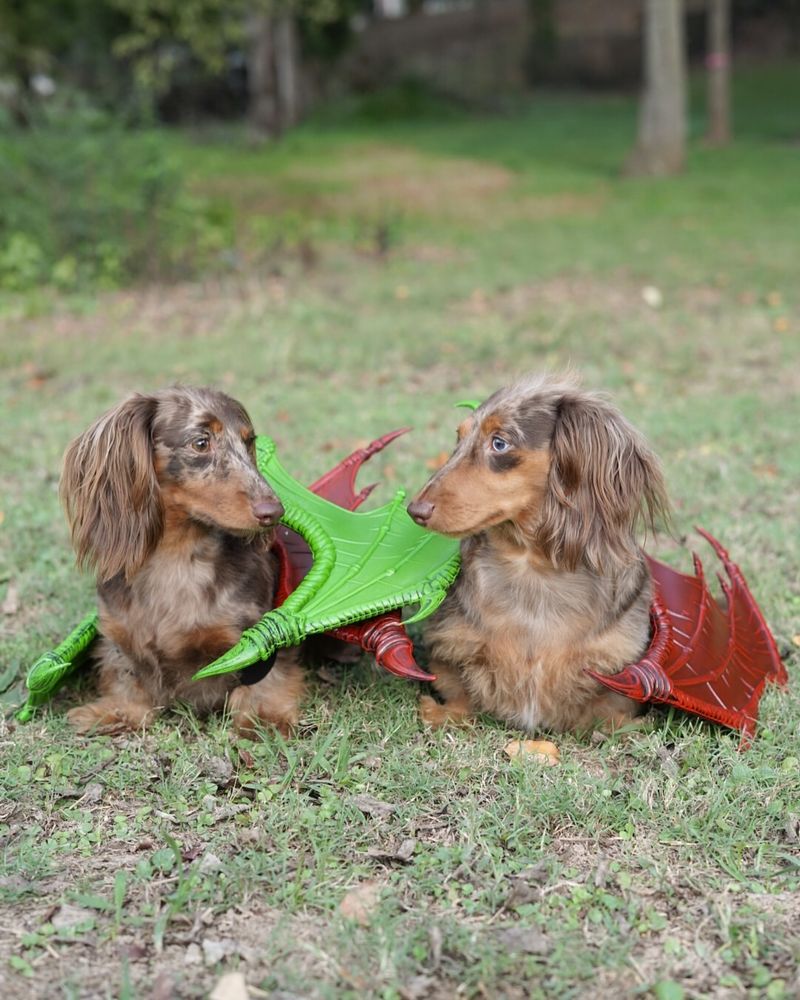 Dragon Costume