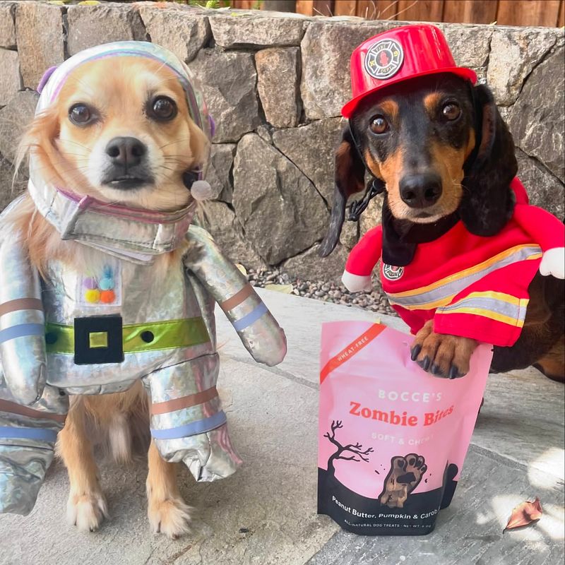 Firefighter Costume