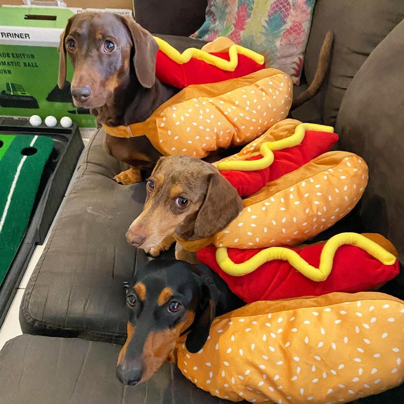 Hot Dog Costume