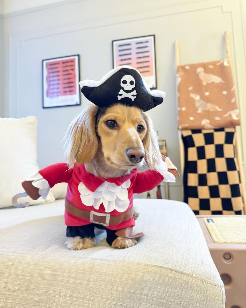 Pirate Costume