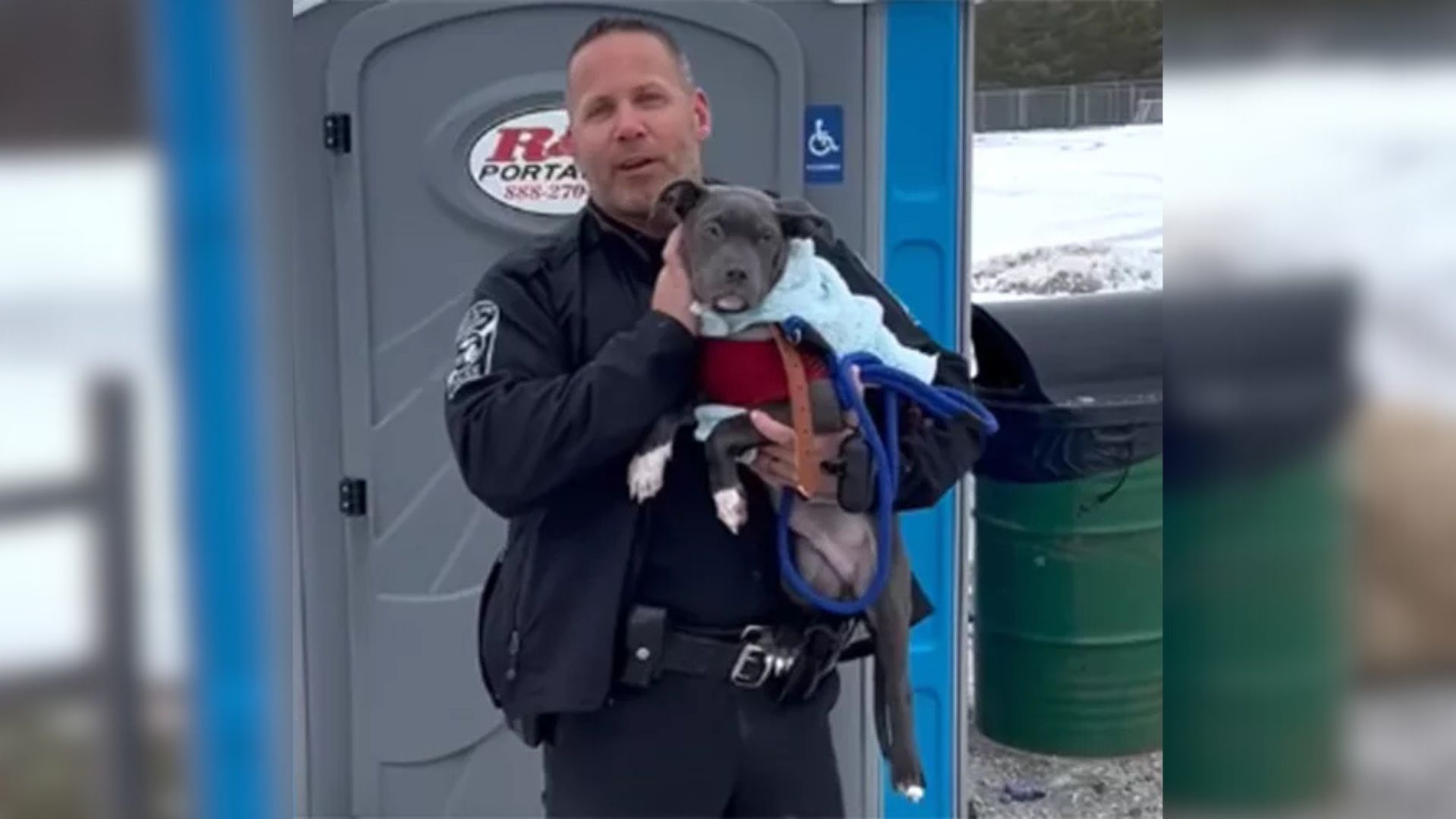 Pup Who Spent Days Freezing In A Portable Toilet In Michigan Gets Rescued By A Park Employee