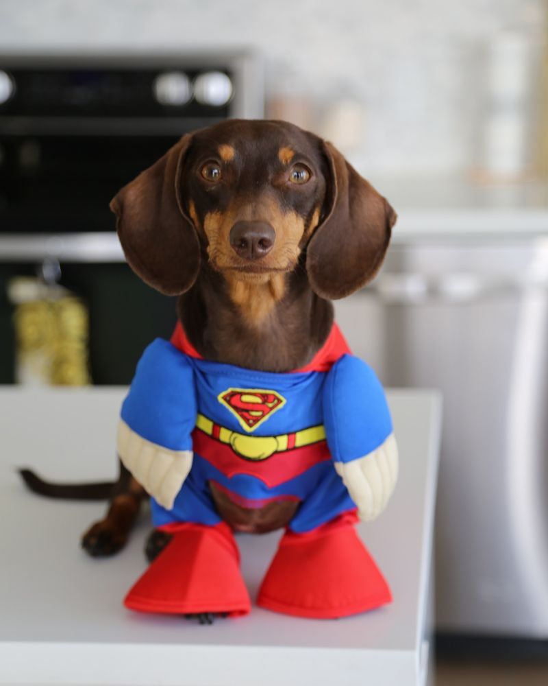 Superhero Cape