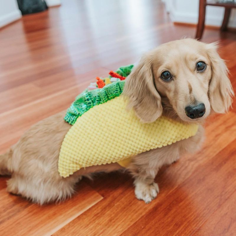 Taco Costume