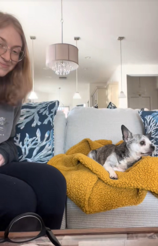 The dog is sitting on the cutting board next to the woman