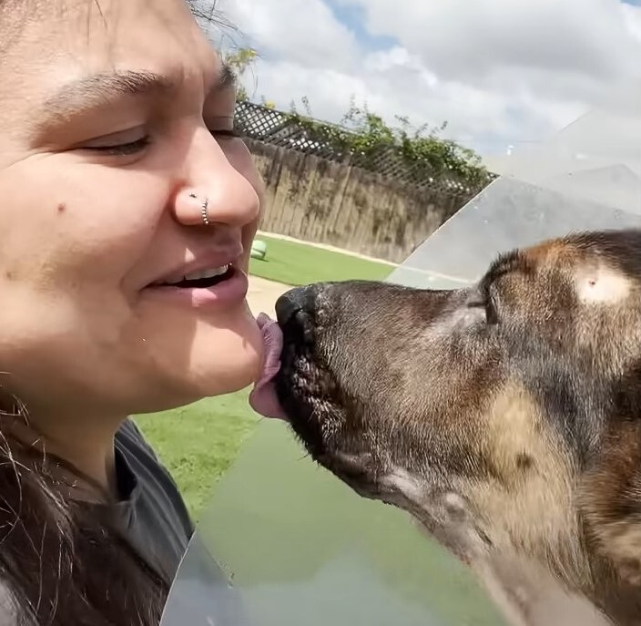 The dog licks the girl's chin