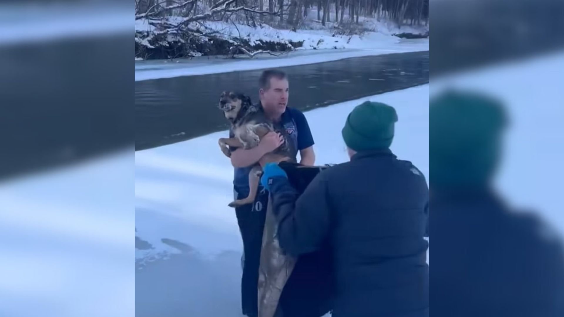 He Jumps Into Freezing River To Save Stranger's Dog From Drowning