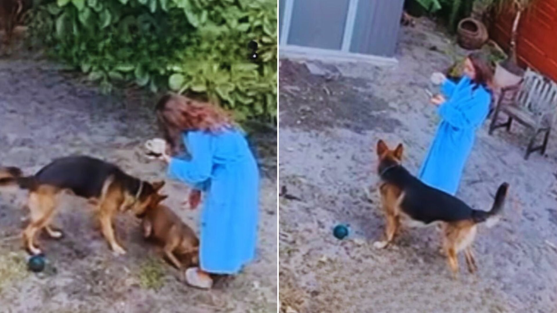 woman and dog in backyard