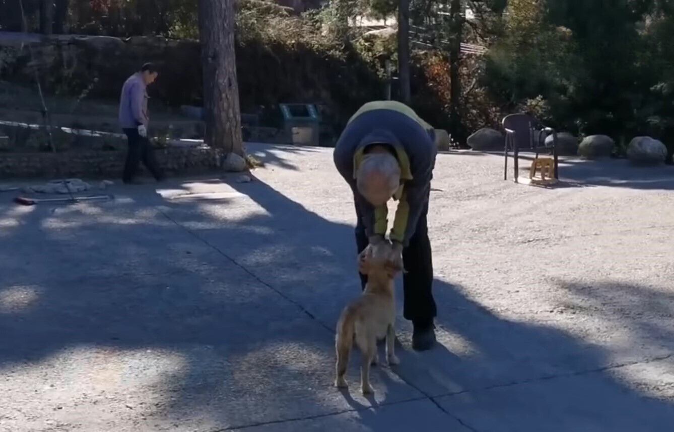 an old man cuddling dog outdoor