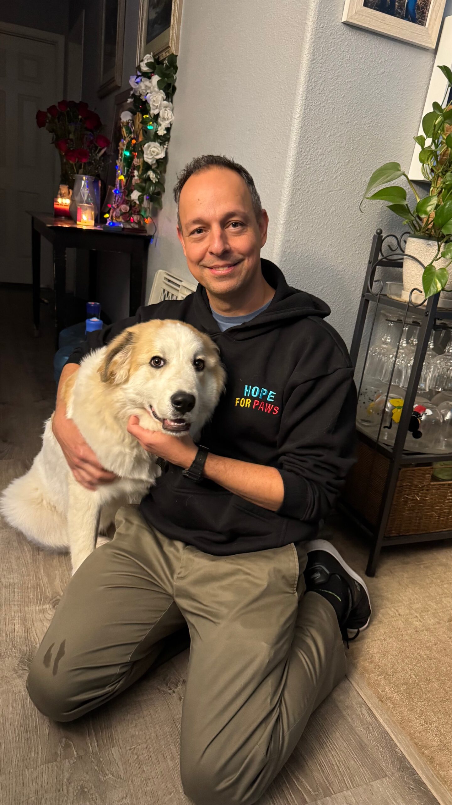 beautiful white dog in a man's arms