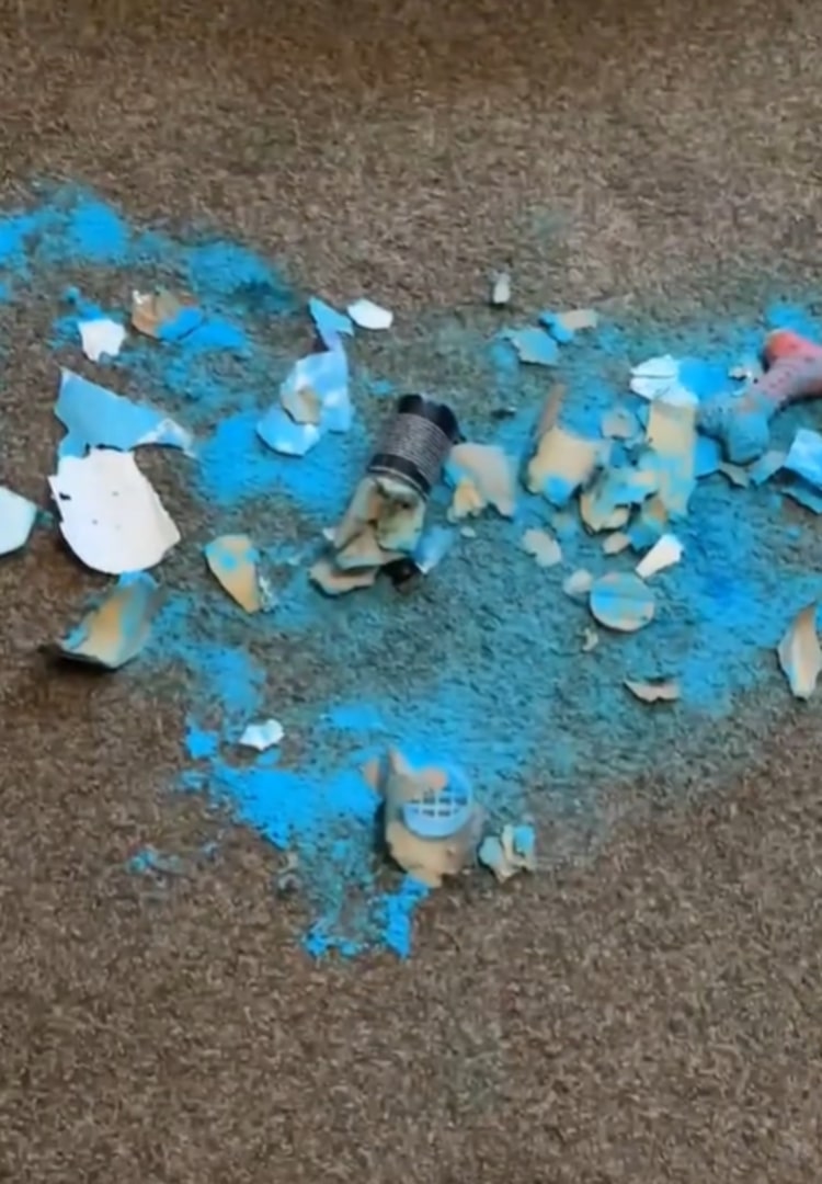 blue paint spilled on the carpet