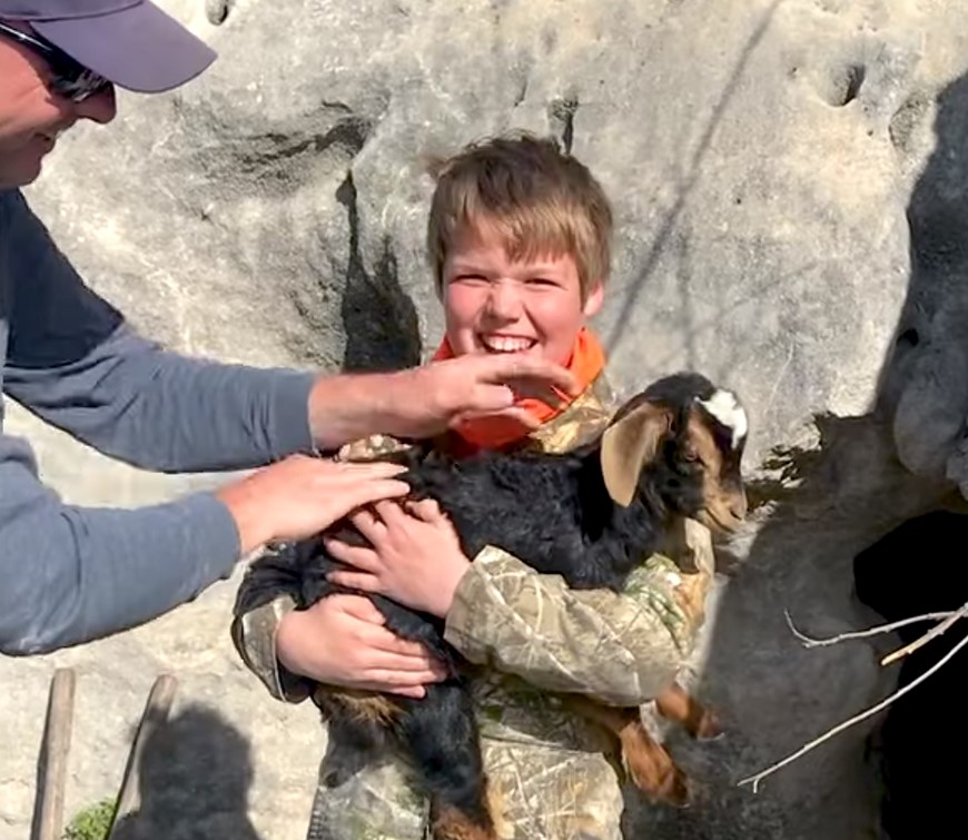 goat and happy boy