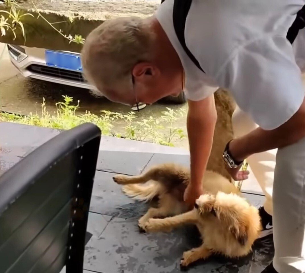 man snuggling dog on terrace