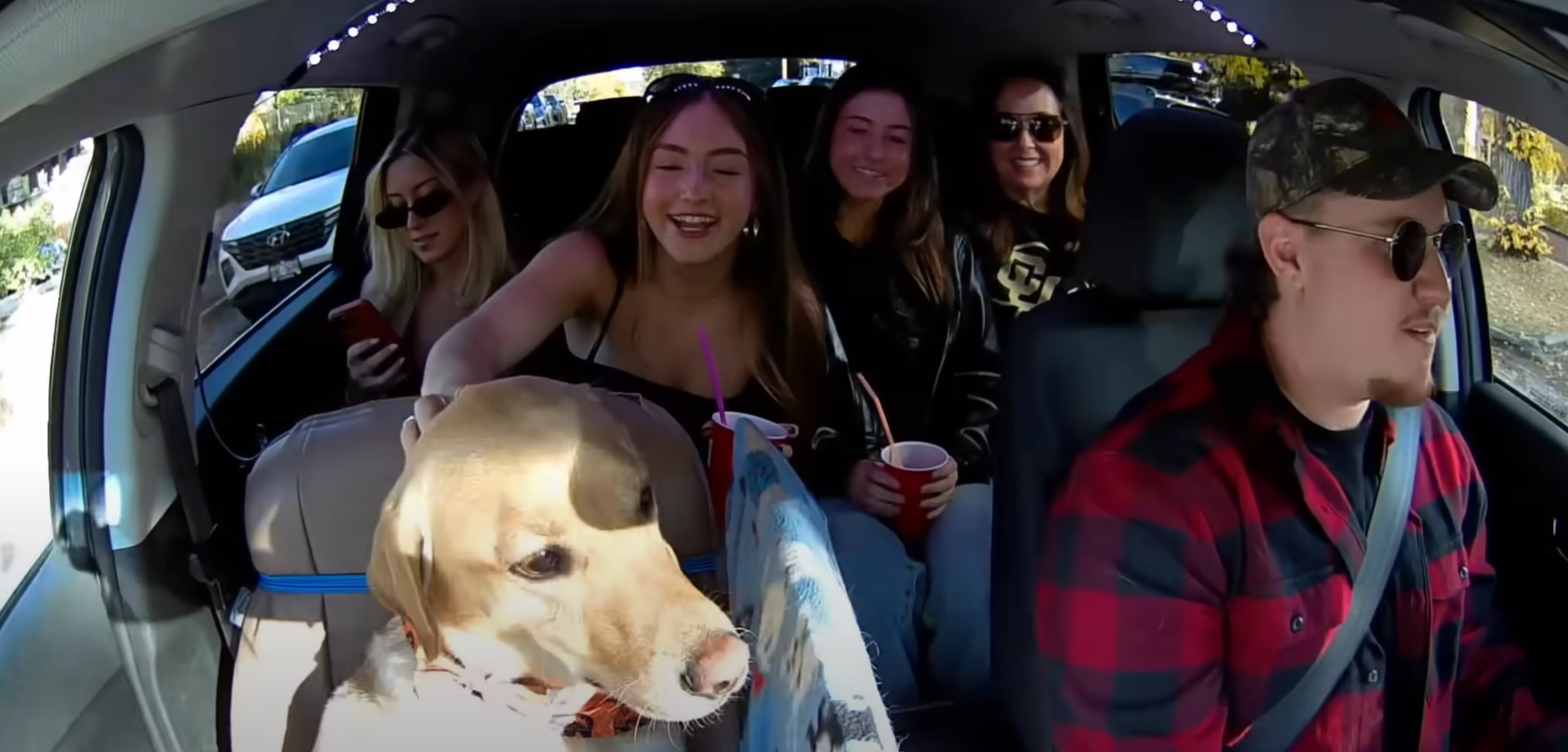 people and dog in car