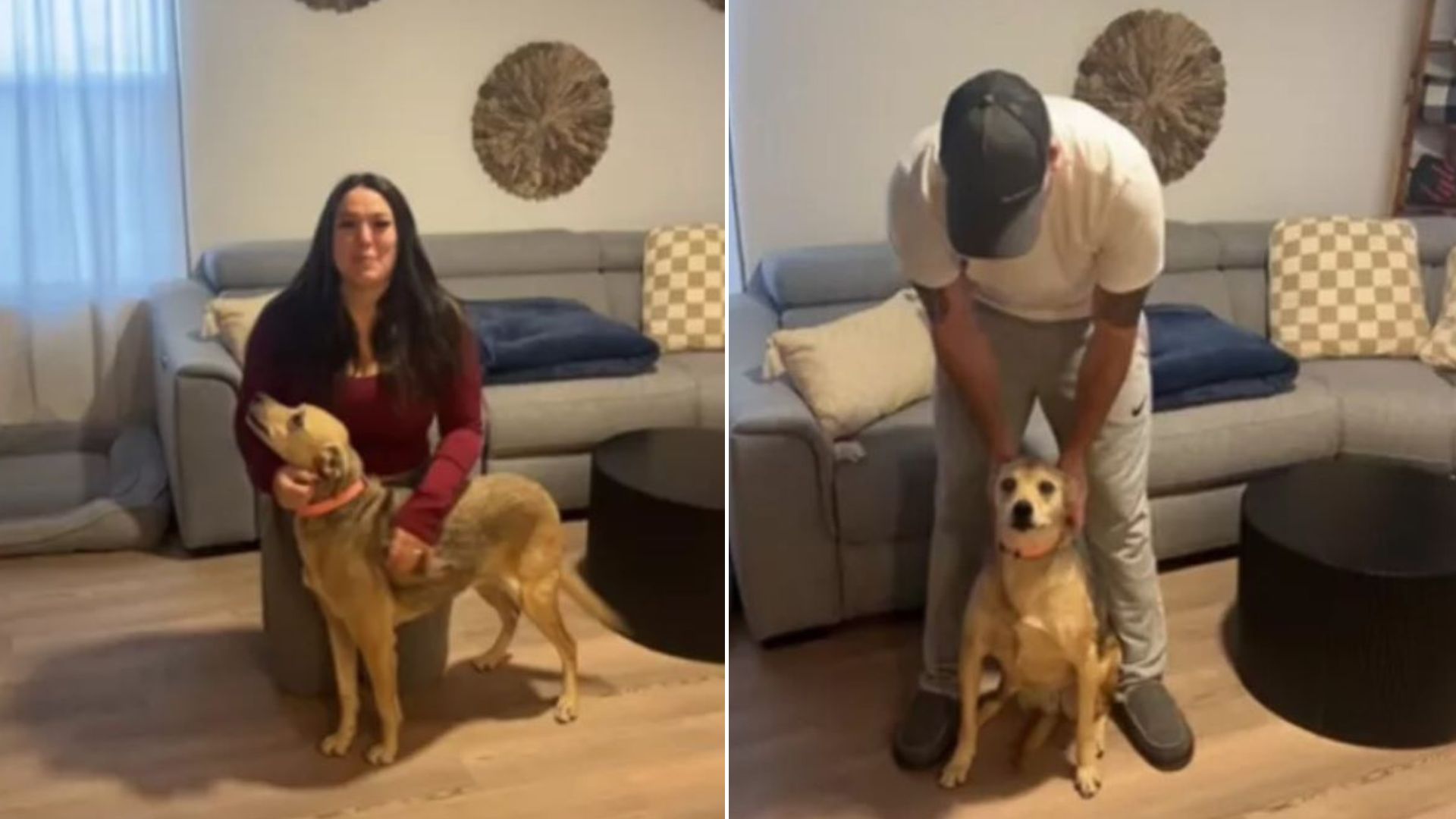 Arizona Couple Shocked When DNA Test Reveals The Breed Of Their Dog Rescued From Shelter