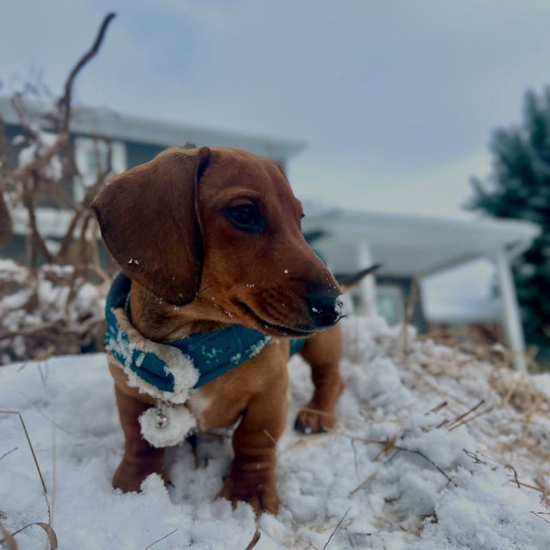 First Snow Adventure