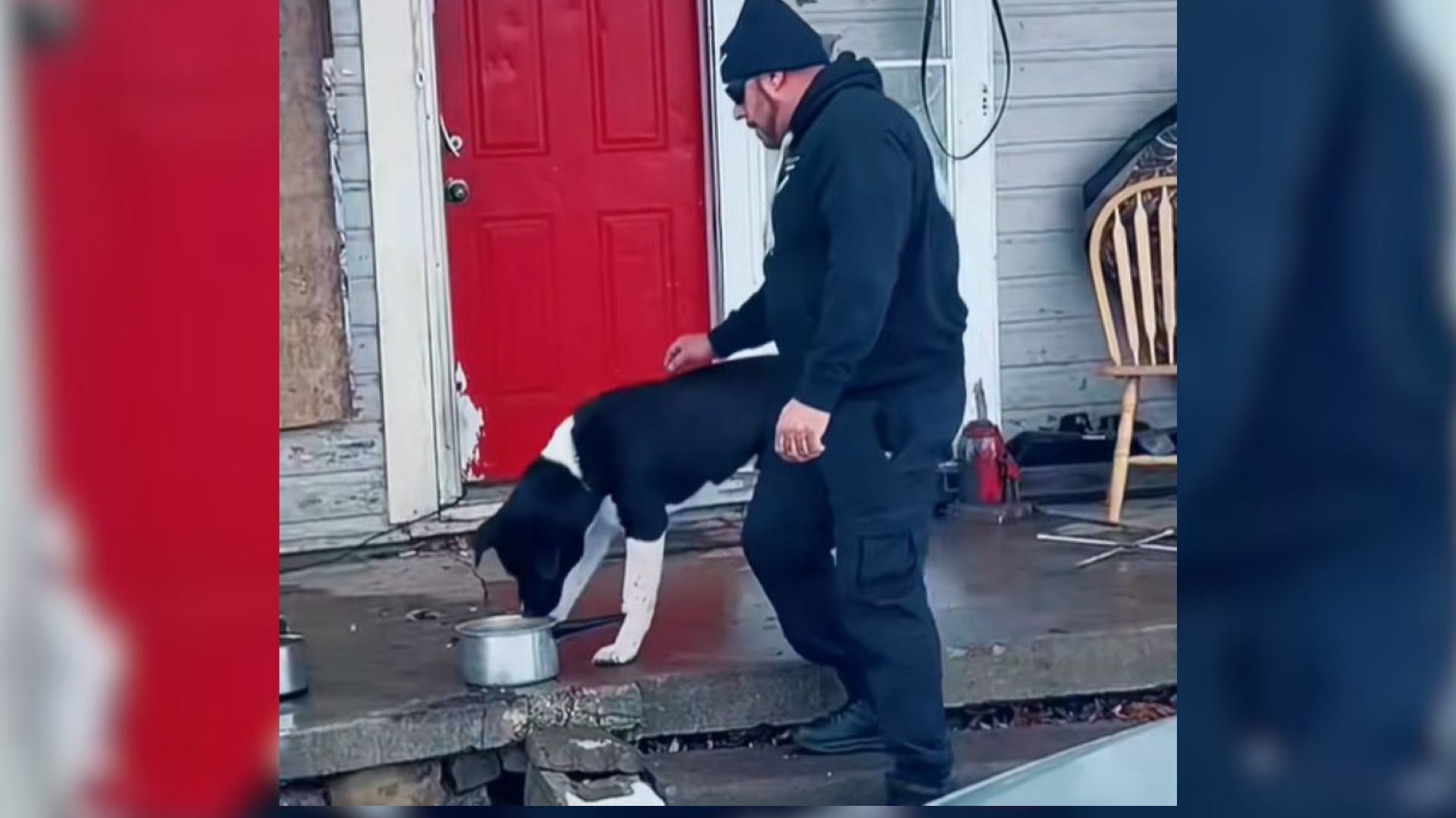 man comes up to an unapproachable dog on a street