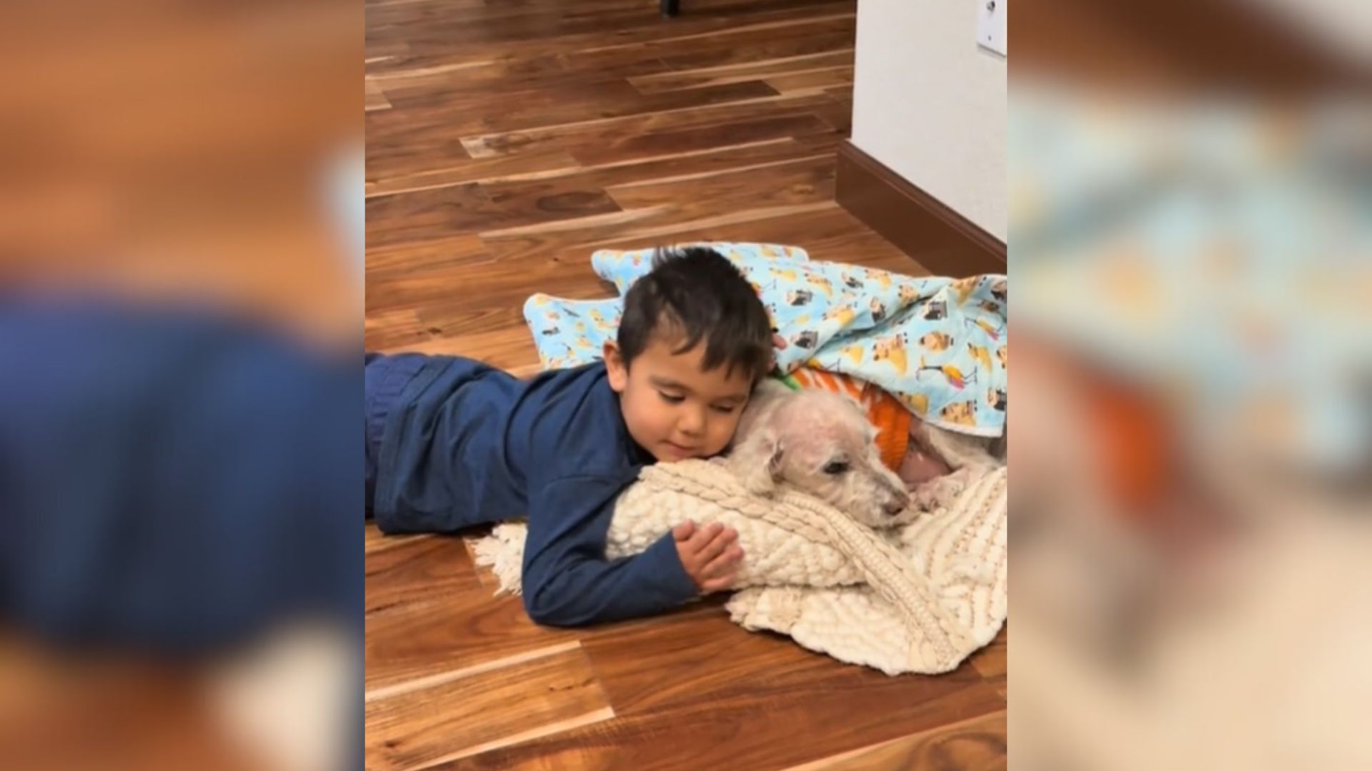 Texas Toddler Caught On Video Doing The Sweetest Thing For Shivering 13-Year-Old Dog