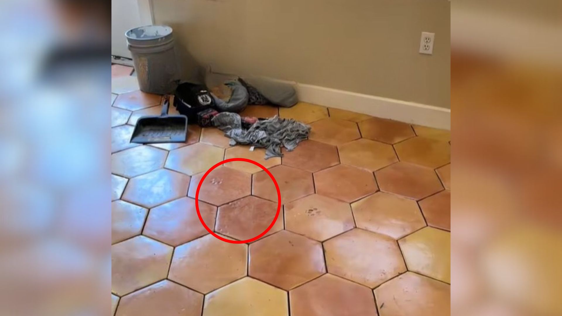 Missouri Woman Decided To Redo Her Kitchen Only To Realize Her Tiles Have Something On Them