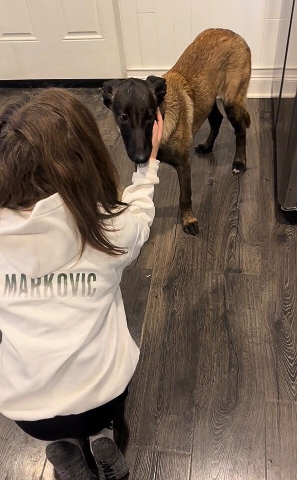 kid and cute dog