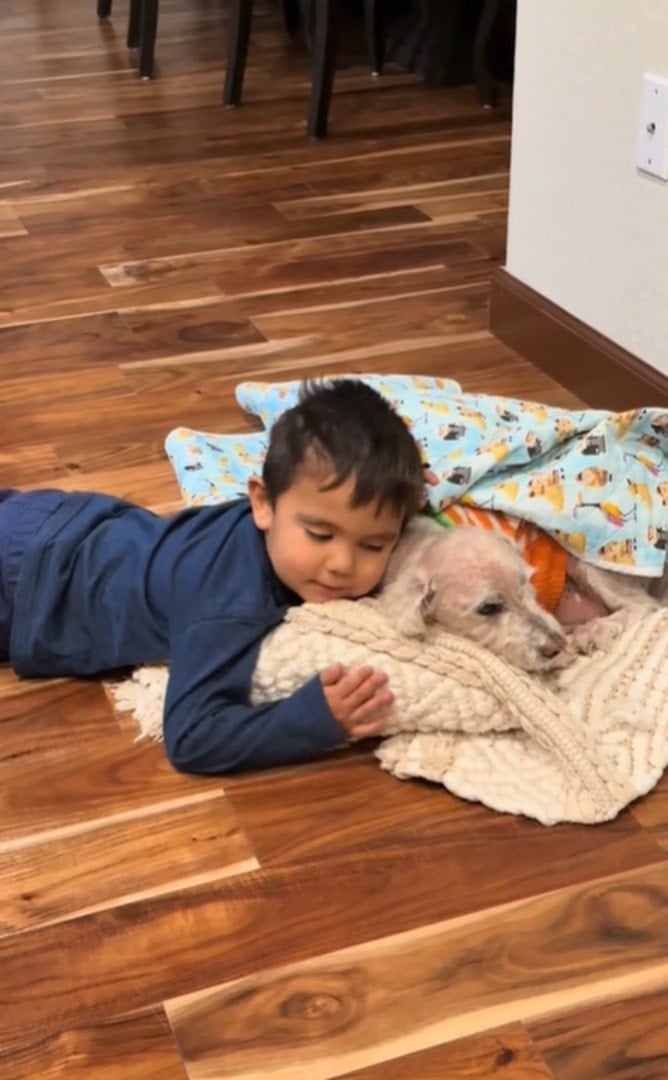 kid and dog sleeping together