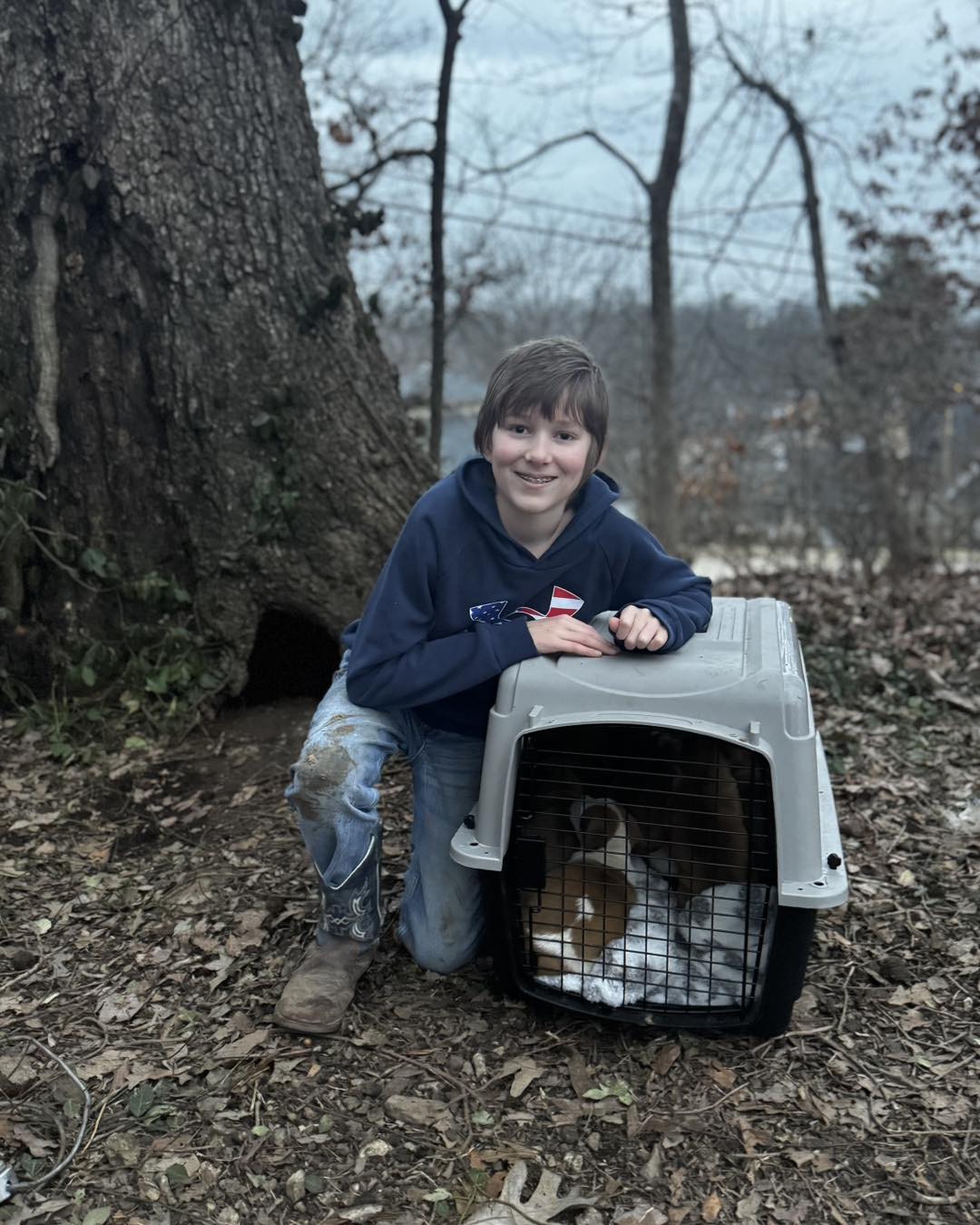 little kid and puppies