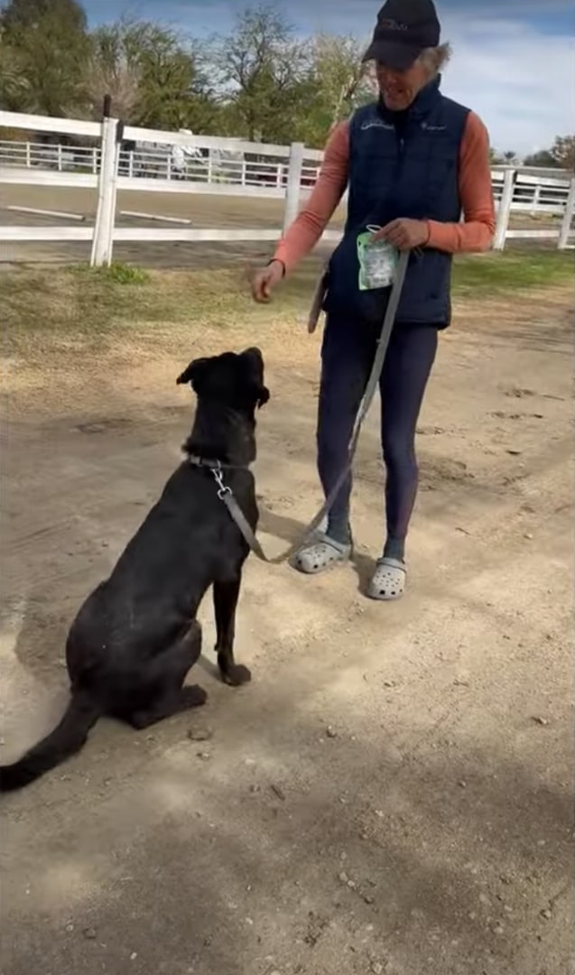 old man and black dog