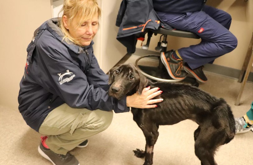 old woman and black dog