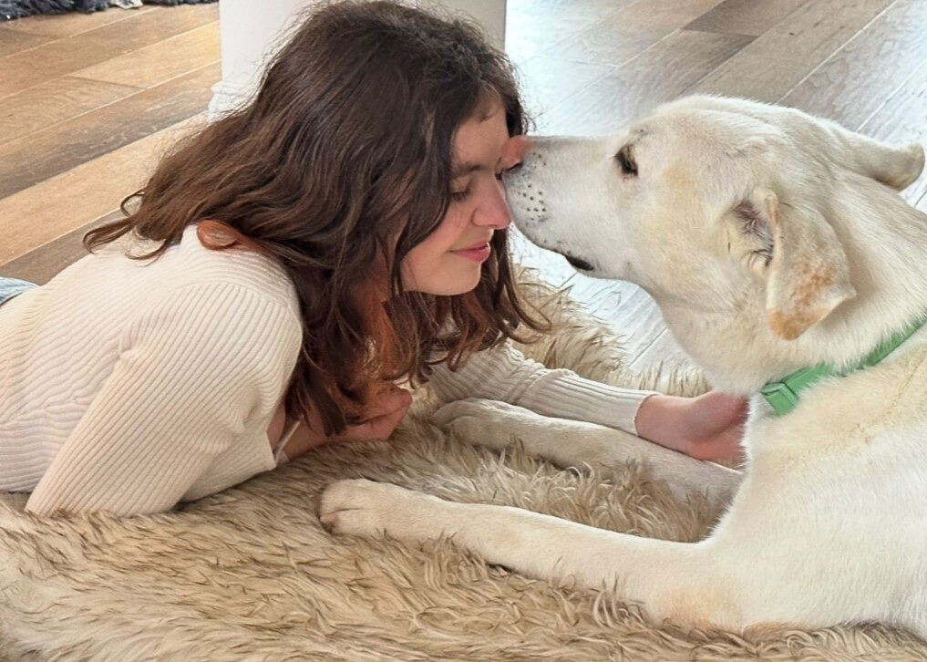 white dog licking a woman