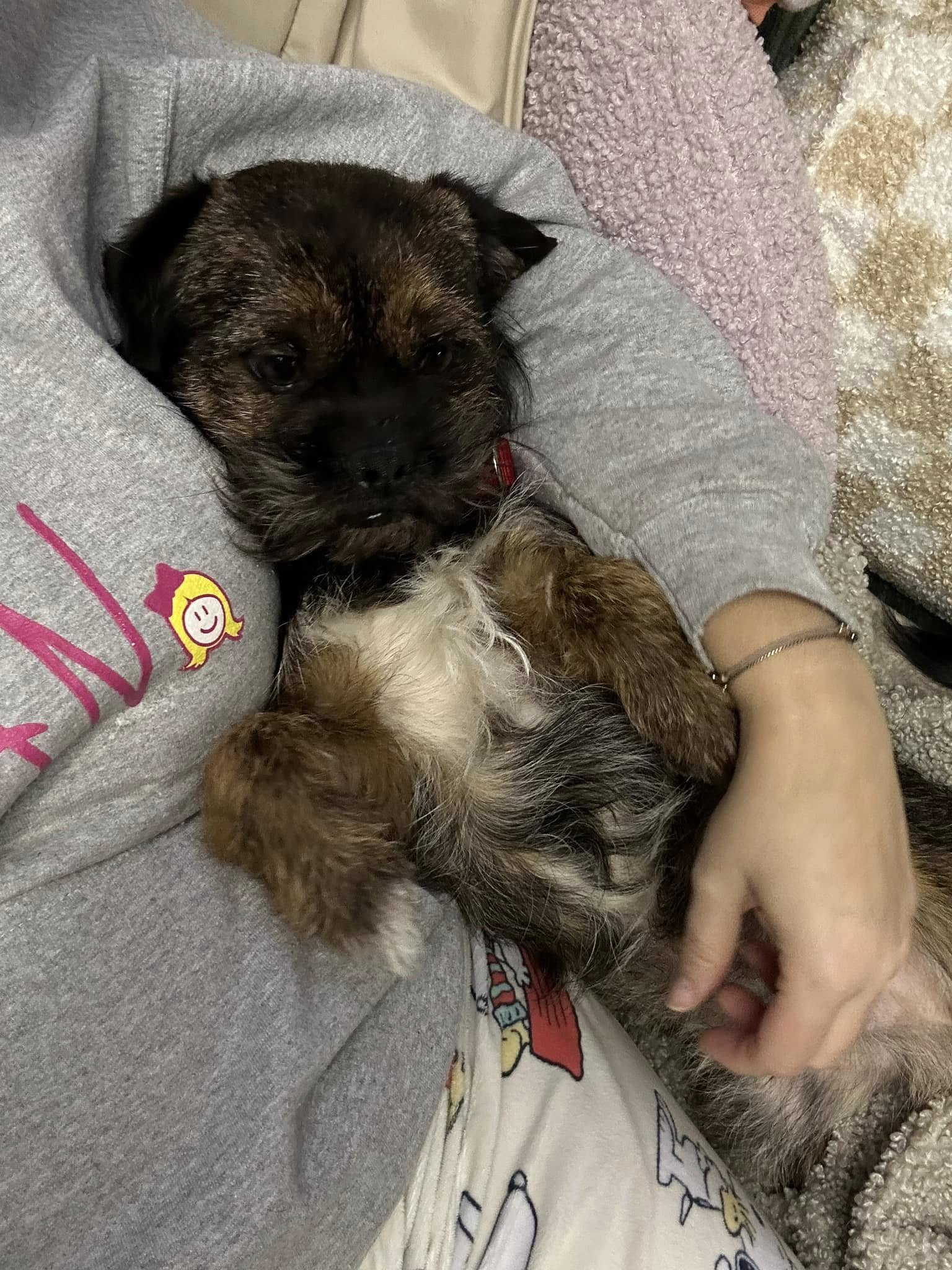 woman and adopted dog