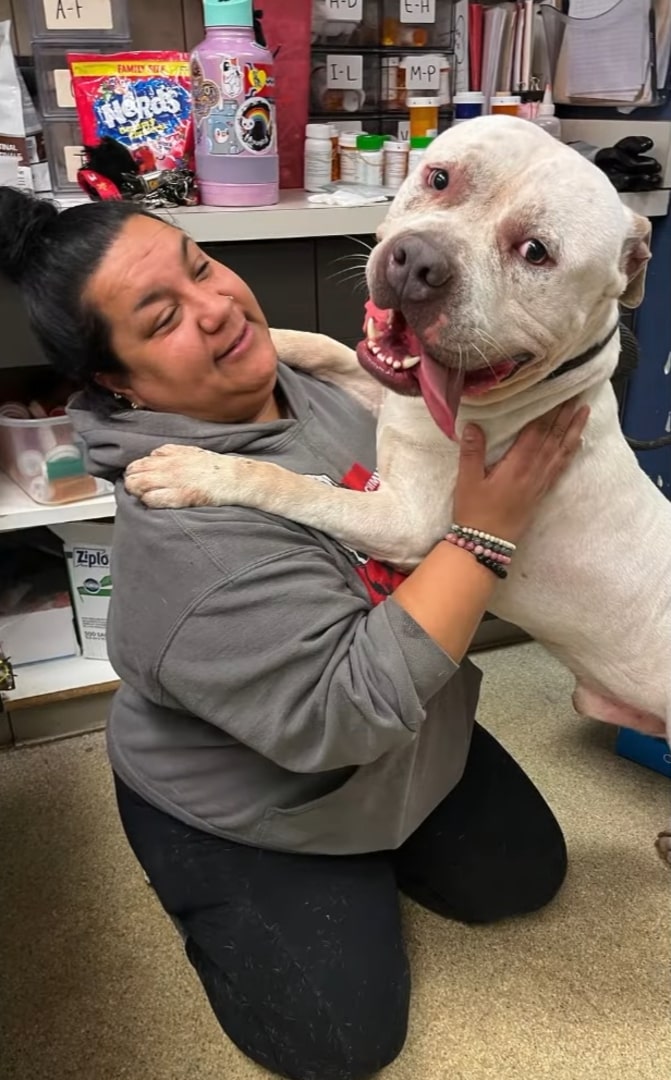 woman and big white dog