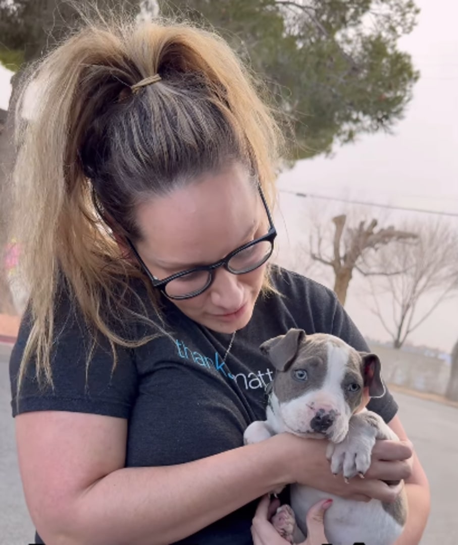 woman and disabled puppy