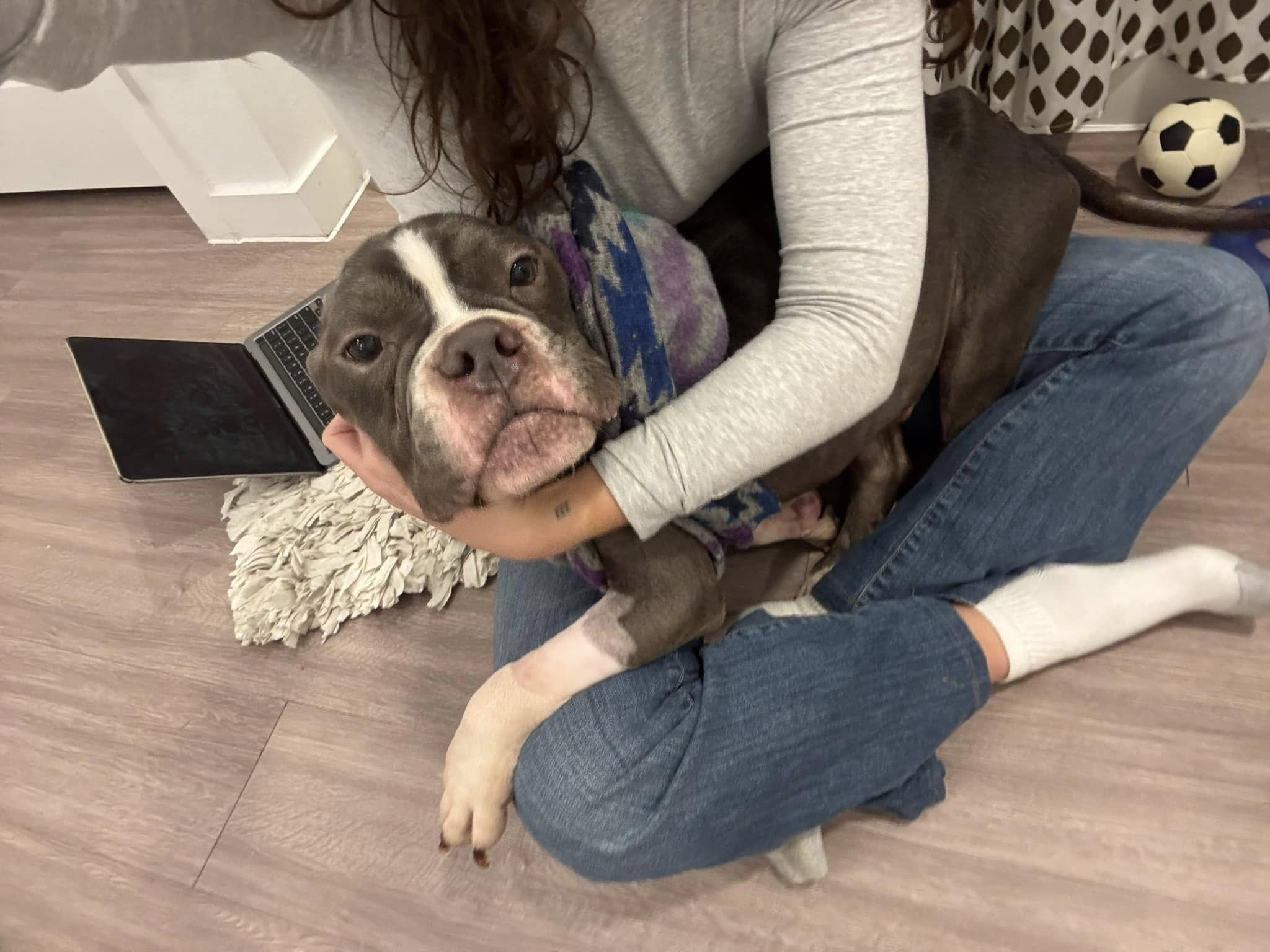 woman and dog in bad condition