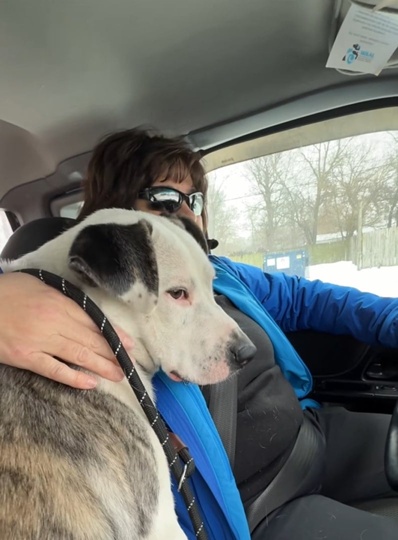 woman and dog in car