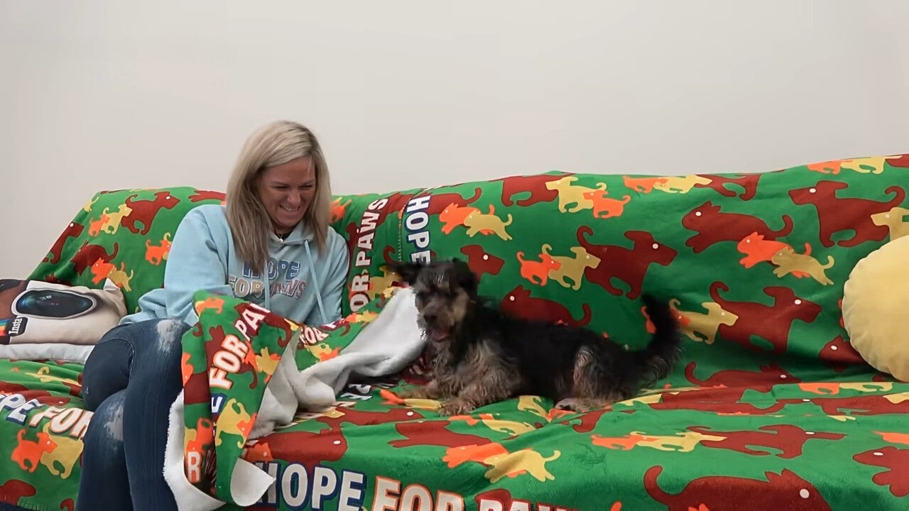 woman and dog on a colorful couch