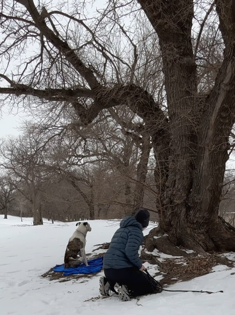 woman and dog sitting in the snow