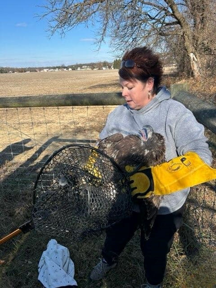 woman and eagle