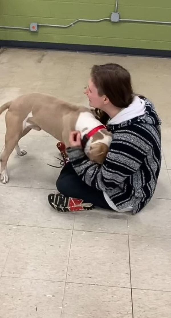 woman hugging a sweet dog