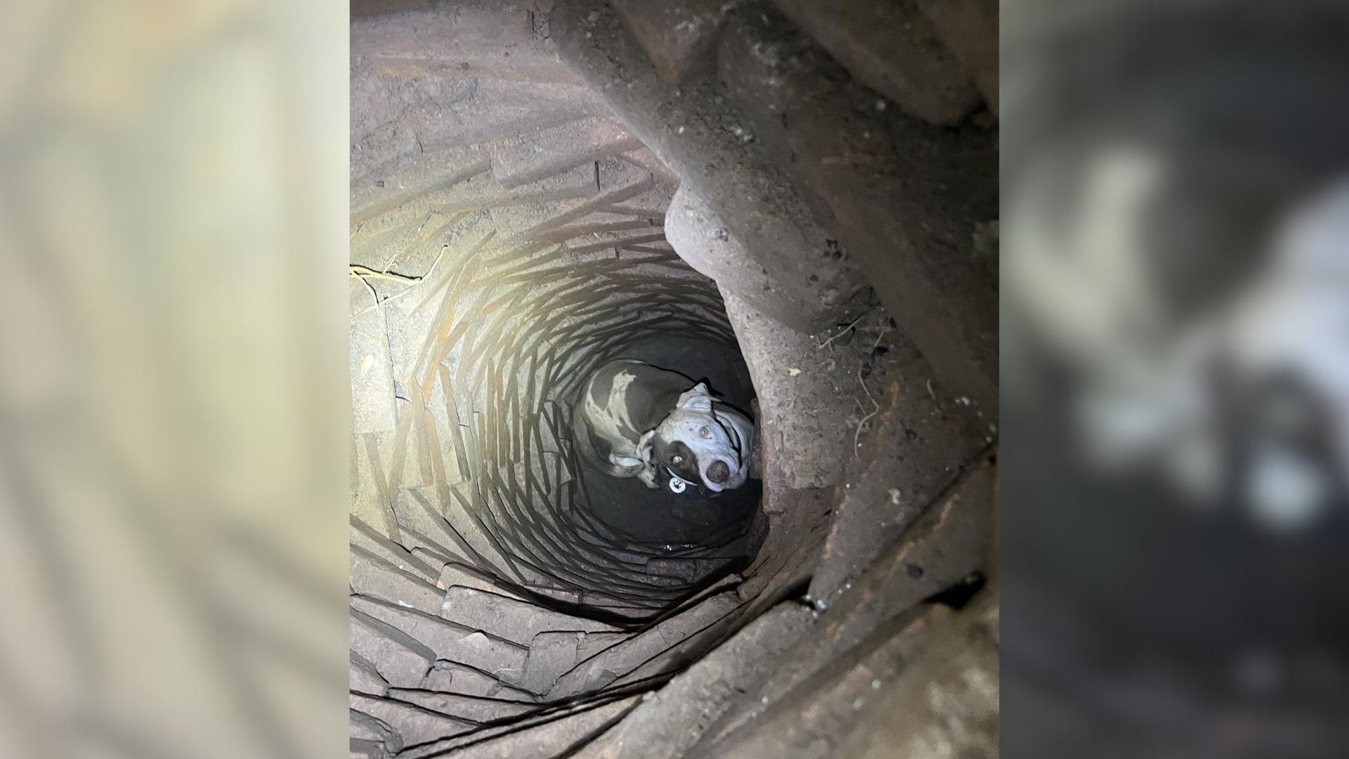 Distant Barks From Underground Lead The Man To A Shocking Surprise In An Eerie Pit