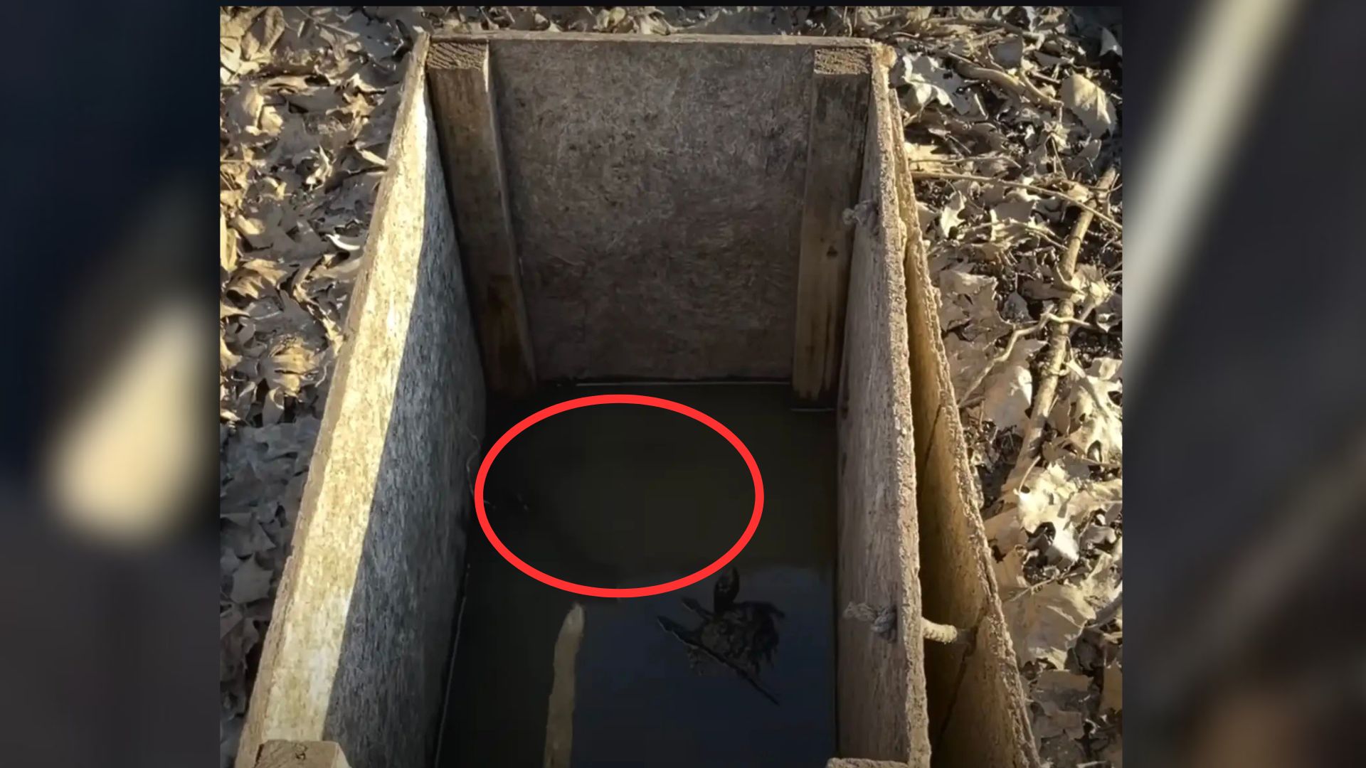 Kayakers Stumble Upon Strange Box Buried In Mud, Only To Find Something Shocking Inside