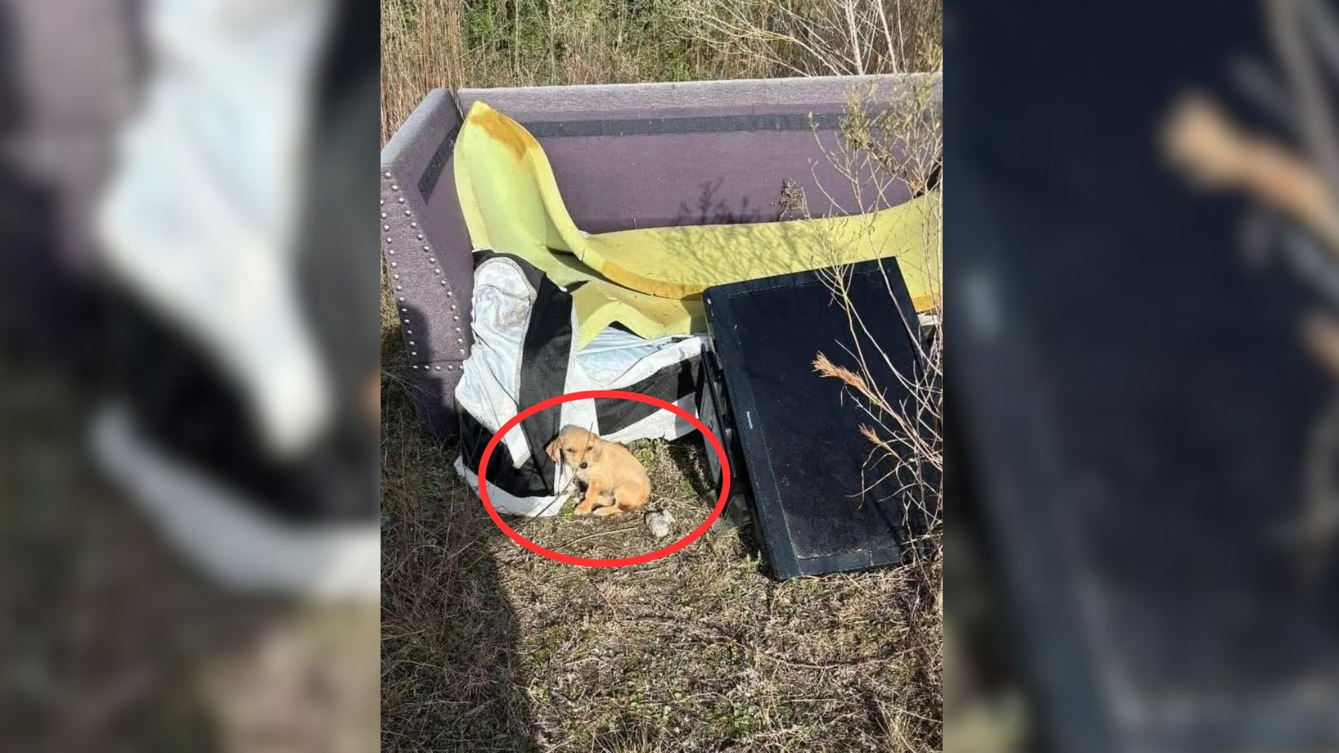 man inspecting a trash