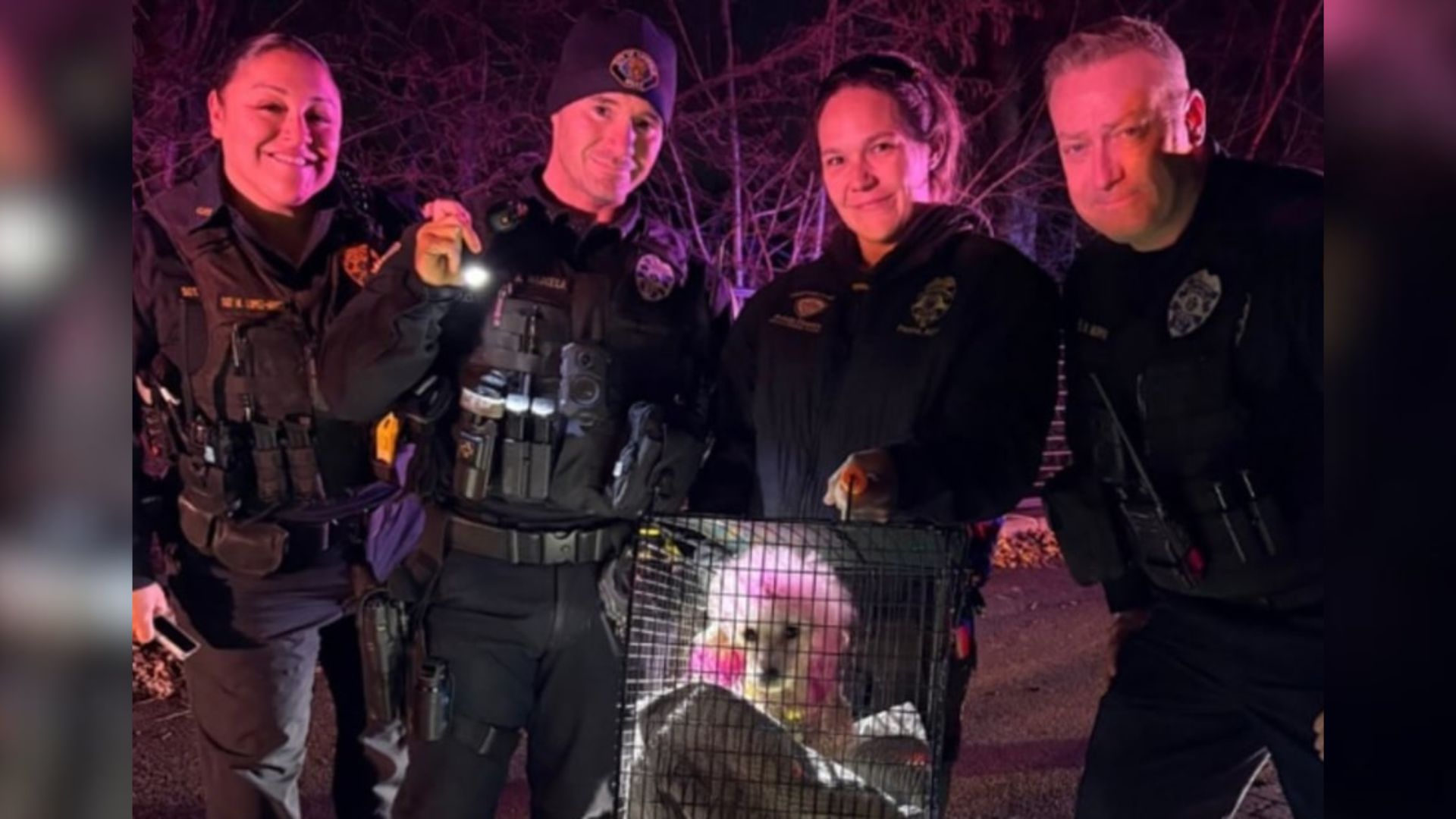 New Jersey Rescue Team Spends 4 Hours To Save Pink-Haired Poodle From Freezing River After Near-Fatal Swim