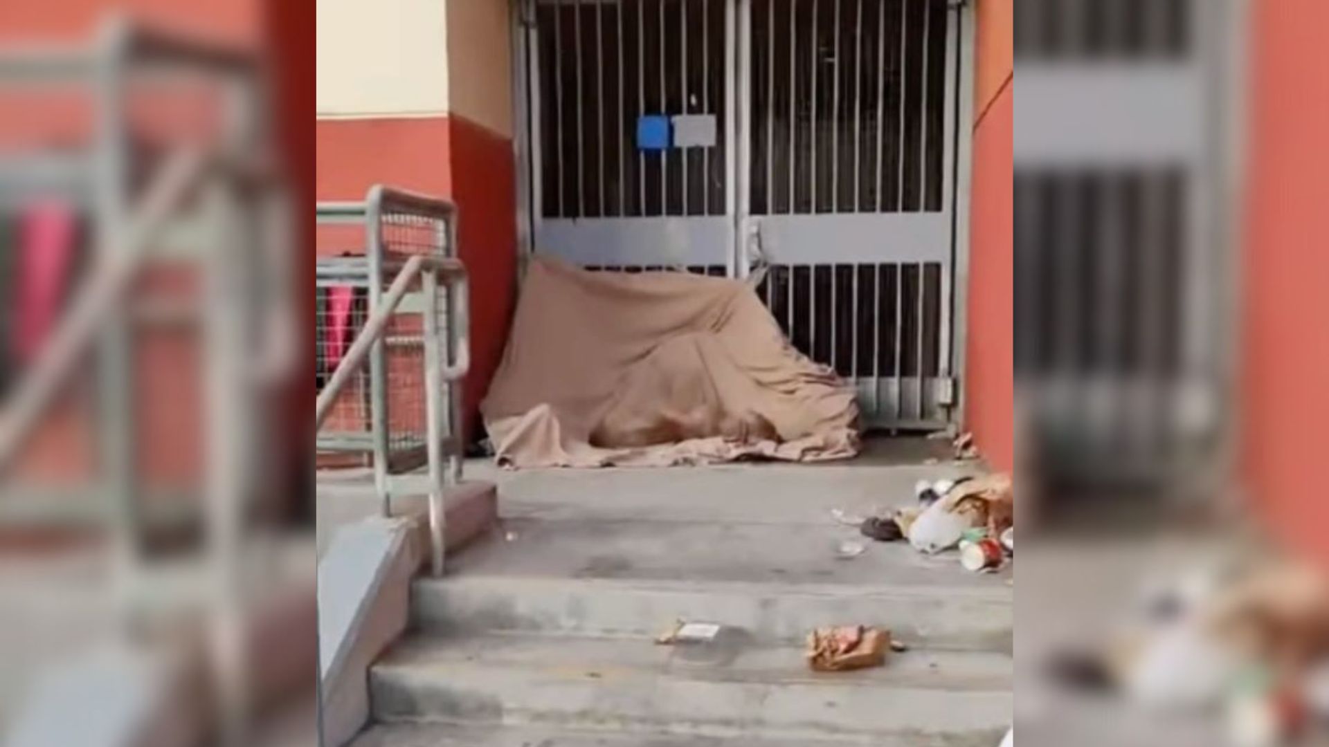 Passerby Was Surprised To Discover A Helpless Creature Sleeping On A Tarp Outside Metro Station In California