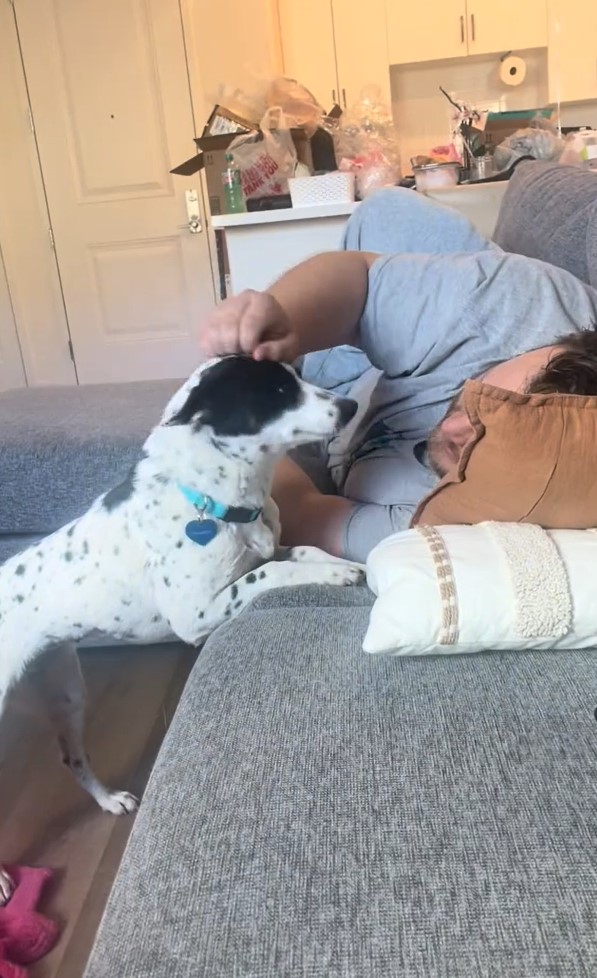 man petting black and white dog