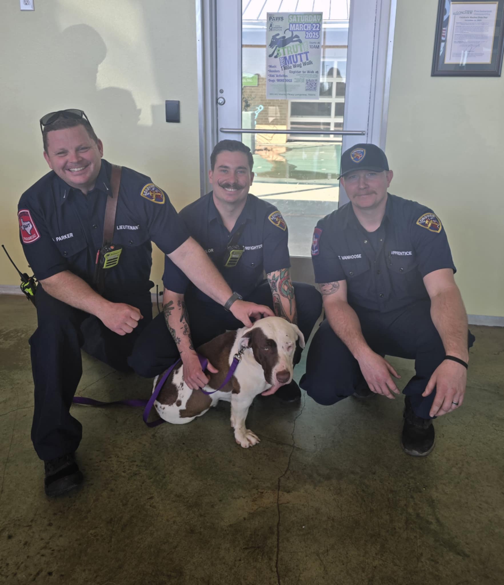 police officers and dog