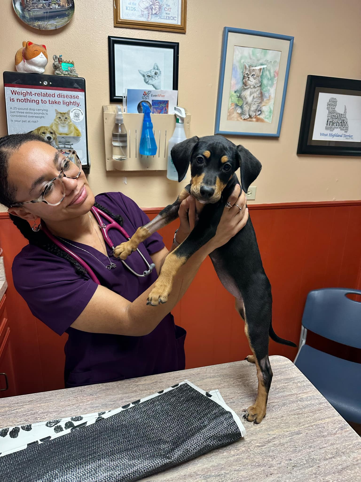 woman and blind dog